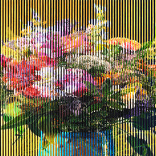 Cargar imagen en el visor de la galería, Flowers II
