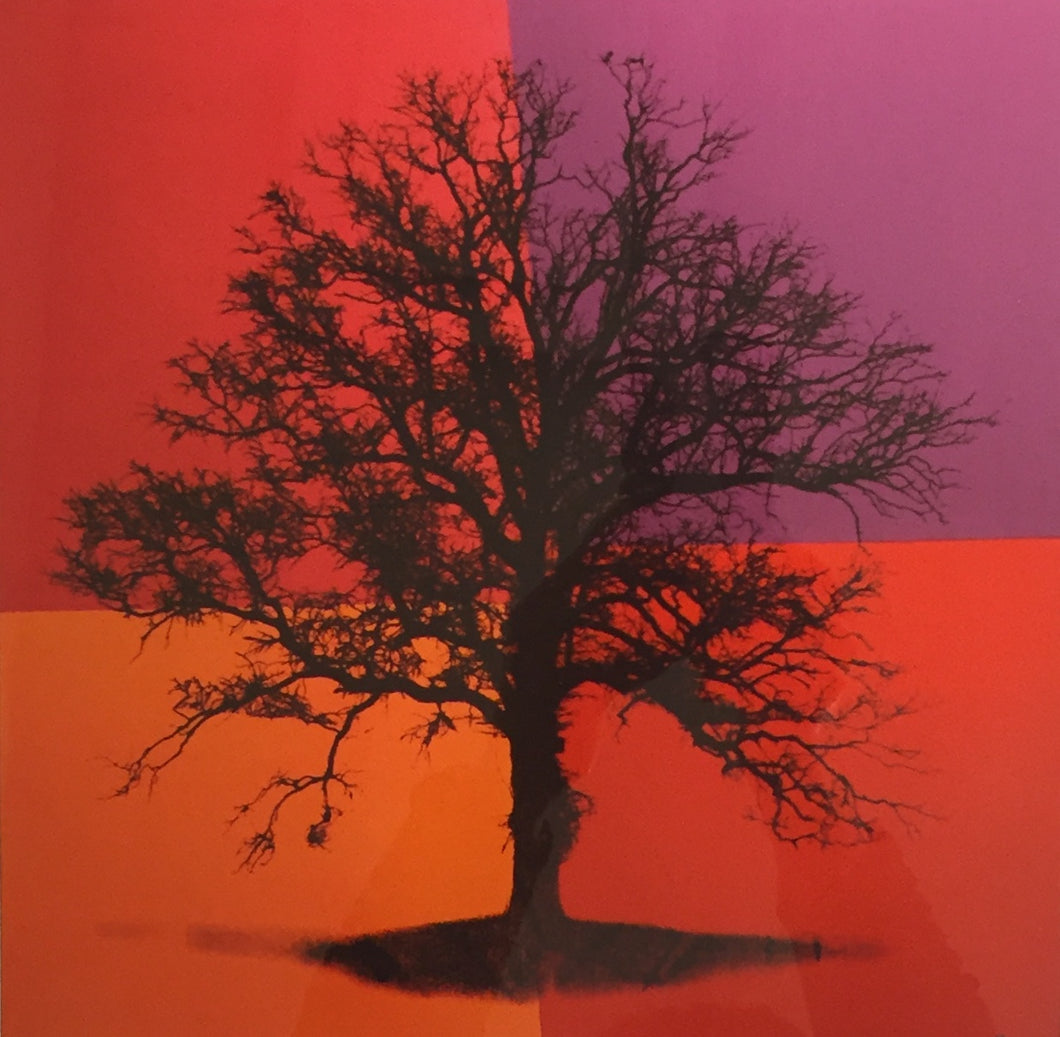 Tree of Life - Fall